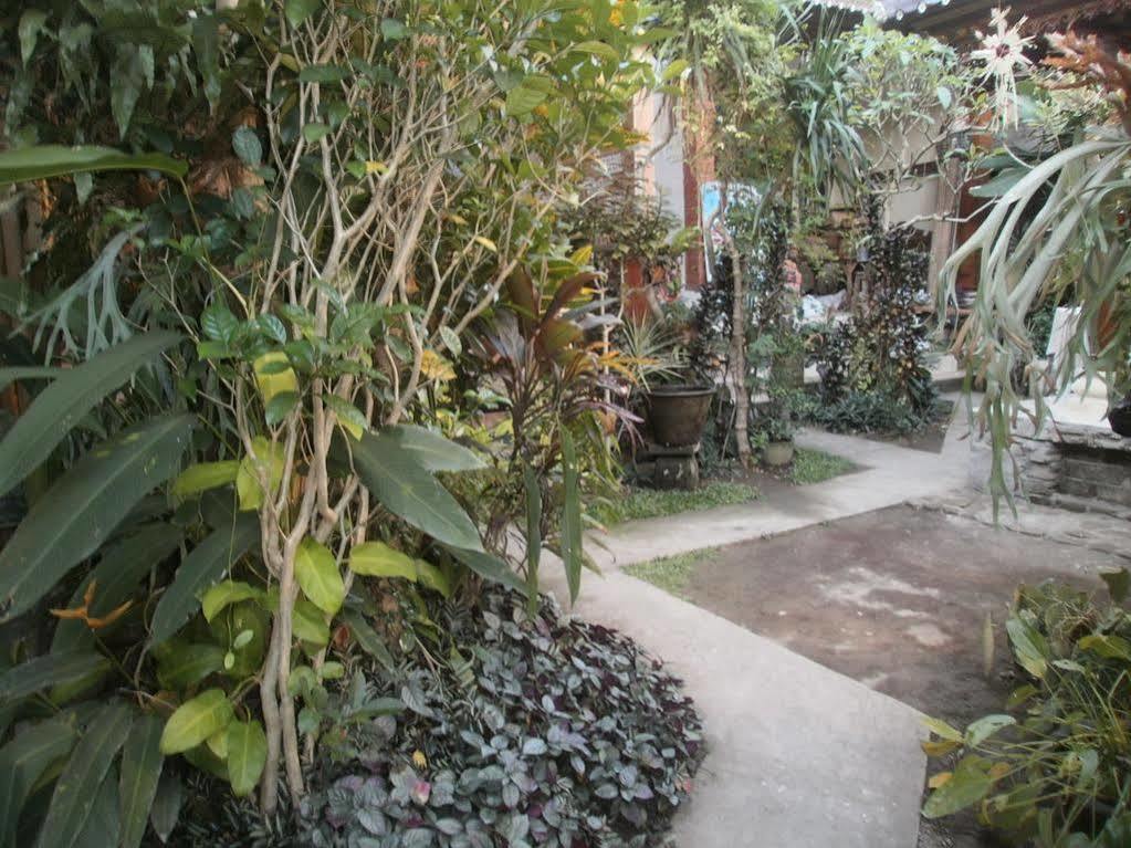 Alamanda Accomodation 우붓 외부 사진